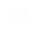 tongitterw.png